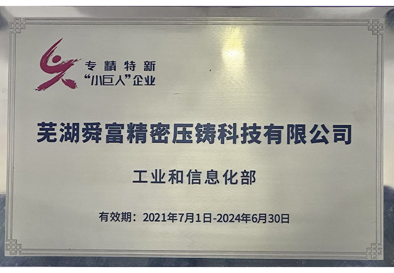 专精特新小巨人